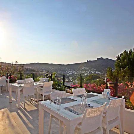 Szálloda Turkbuku Hill Muğla