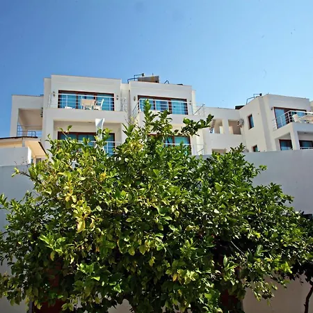 Turkbuku Hill מלון *